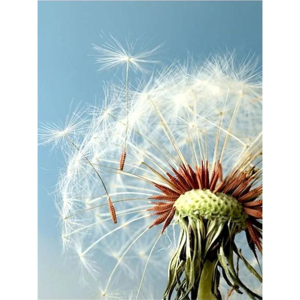 Diamond Painting Full Drill White Wolf Flower Animal Diamond Painting Handmade Art Landscape Diy Diamond Mosaic Painting Home Decoration