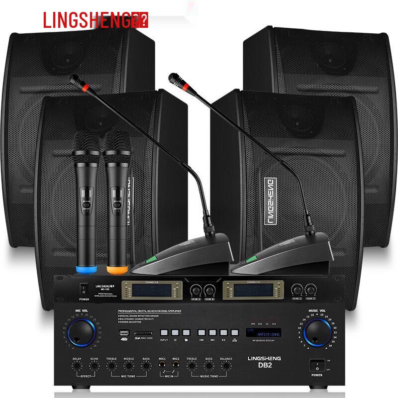 LINGSHENG Professional KTV & Conference Audio System CN plug (adapter included)