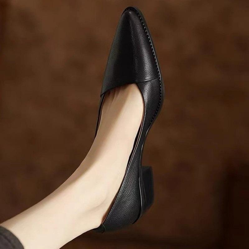 Fashion Women's Coarse Heel Shoes Spring New Pointed Head Shallow Mouth Soft Sole Waterproof Non-slip Low-top Shoes
