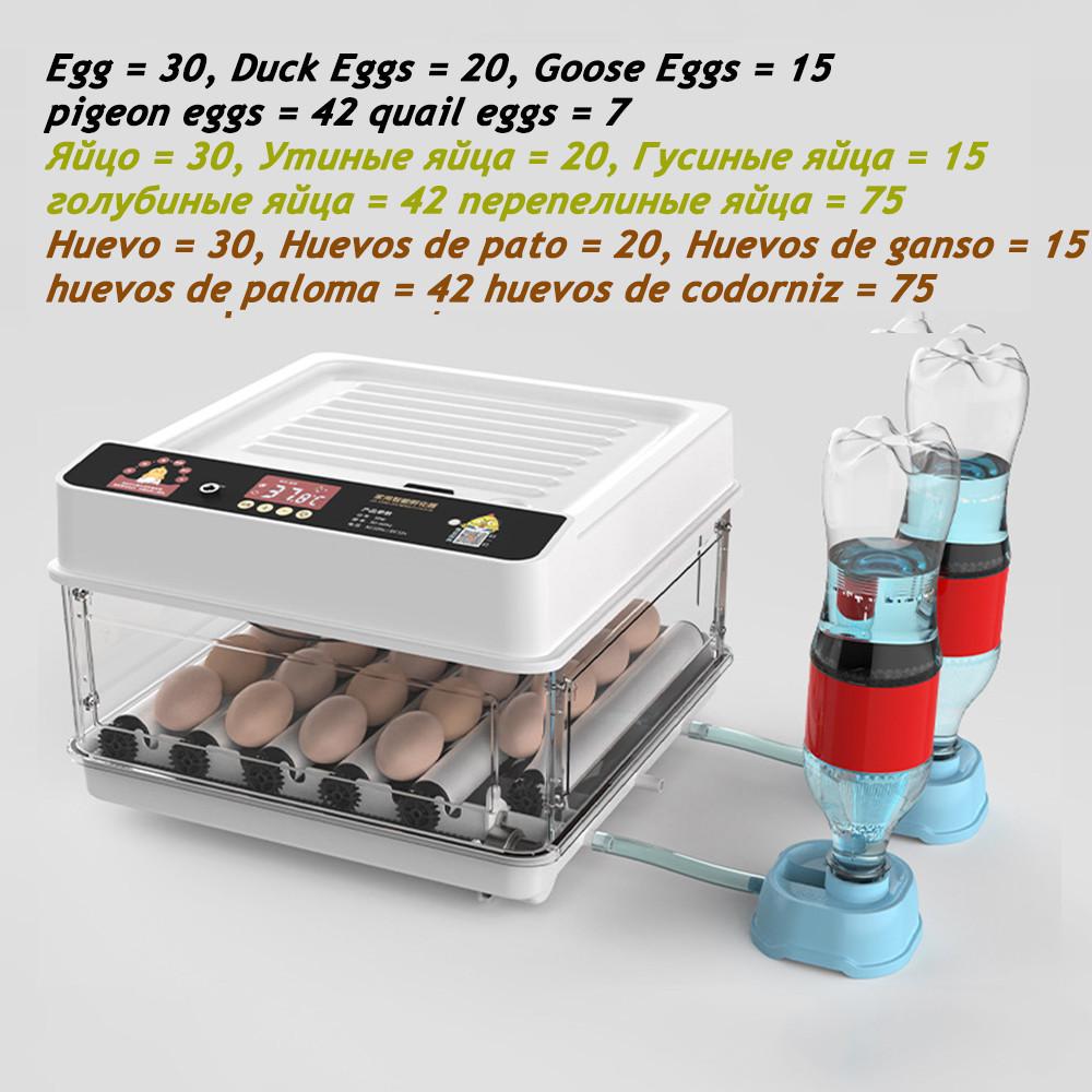 10/15/30 Eggs New Incubator Fully Automatic Water Replenishment Thermoregulator Hatcher Machine Multifunctional Dual Electric Supply Egg Hatcher