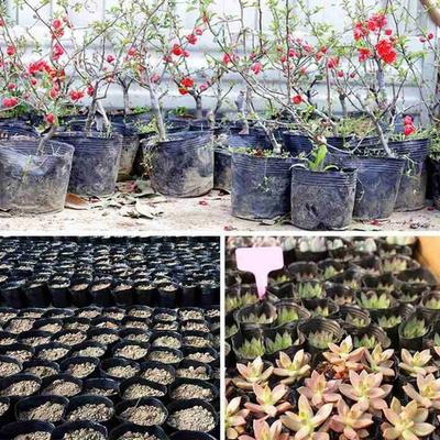 Ghivece de flori și coșuri – Containere pentru răsad