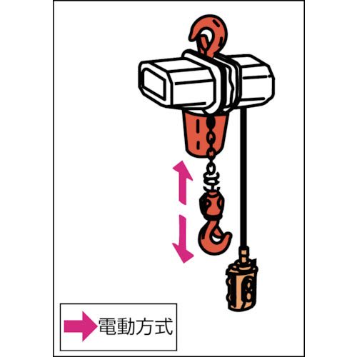 Zojirushi Beta-Type Small Electric Chain Hoist, 200kg Load Rating, 6m Lifting Height, BSK2060