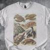 Turtles Illustration Shirt Vintage Species Chart Ocean Reptile Artwork Tee Tshirt Light Gray