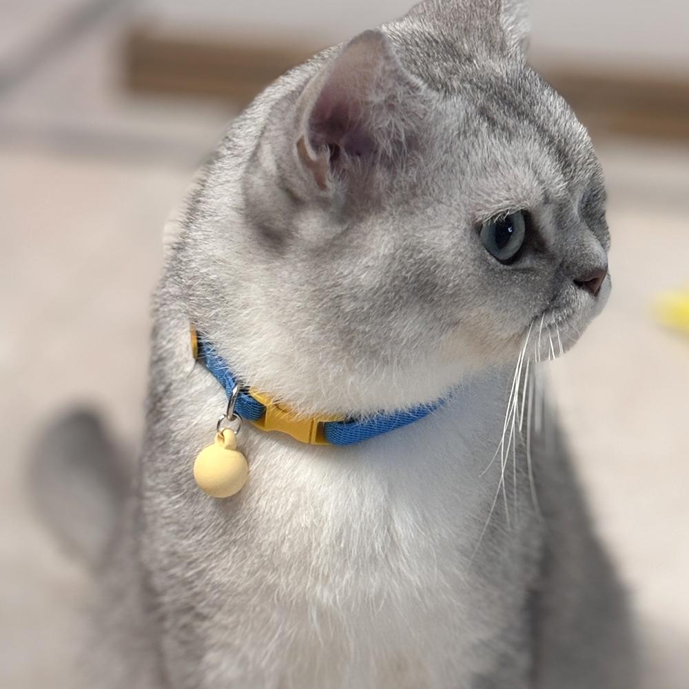 Cat Collar Elastic Webbing Puppy Necklace Puppy Small Dog Collar