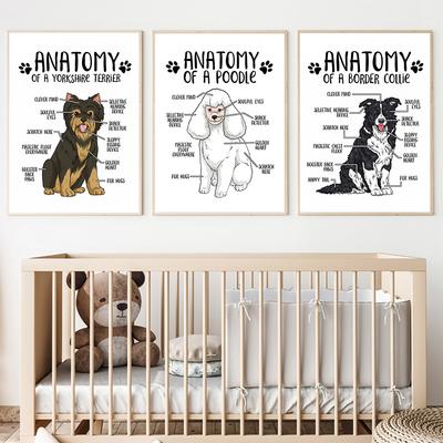 Anatomia zwierząt plakat na płótnie Border Collie Yorkshire Terrier drukuj nowoczesny sklep zoologiczny ściana szpitala