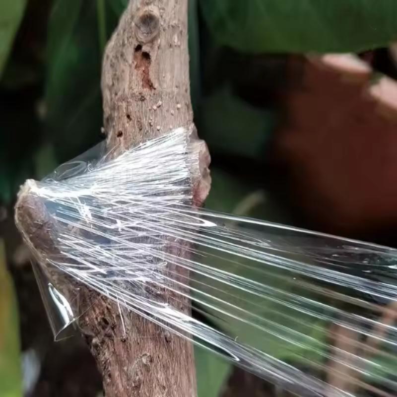 Ekologiška, biologiškai skaidoma skiepijimo juosta, skiepijimo membrana, sodininkystės rišimo diržas, augalų skiepijimui skirta plėvelė, savaime lipni