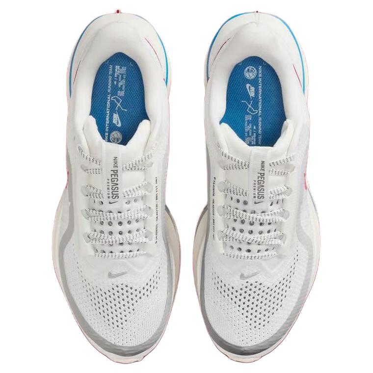 Nike Air Zoom Pegasus Premium Forrest Gump Women's Sneakers Casual IH7347-111
