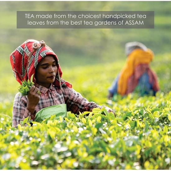 Octavius Classic Assam Black Tea - 100 Tea bags (2 Gm Each) Pack of 2 | Strong Tea | Kadak Chai | 1 Teabag Can Make 2 Cups | 100 Pieces