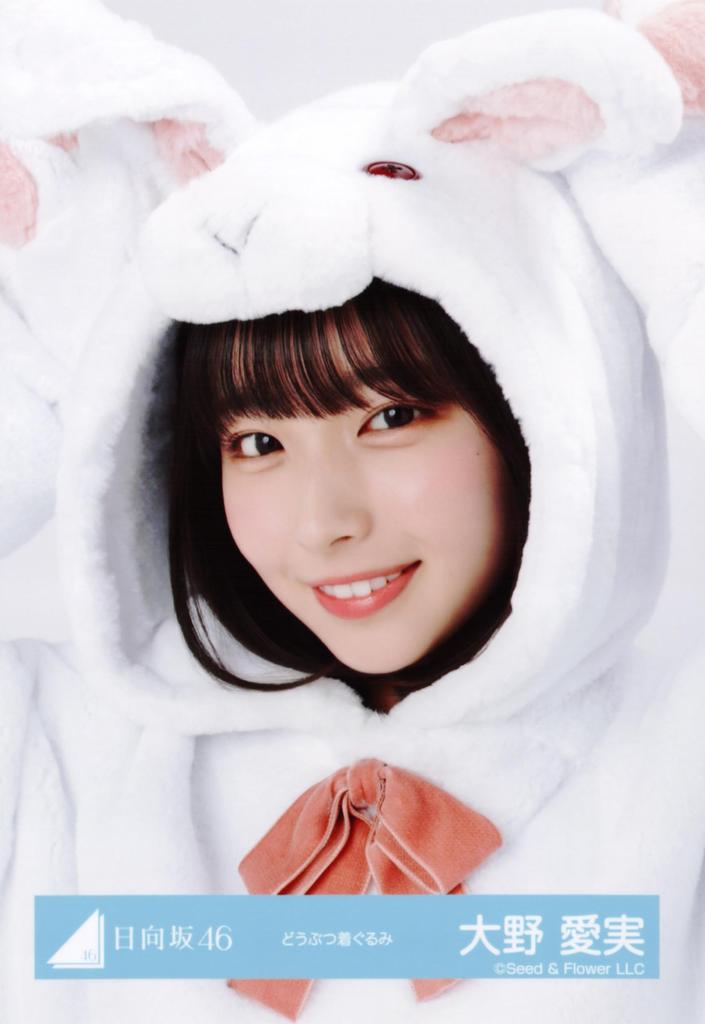 Hinatazaka46 Raw Photo Animal Costume 4 Types Complete Set Ohno Manami