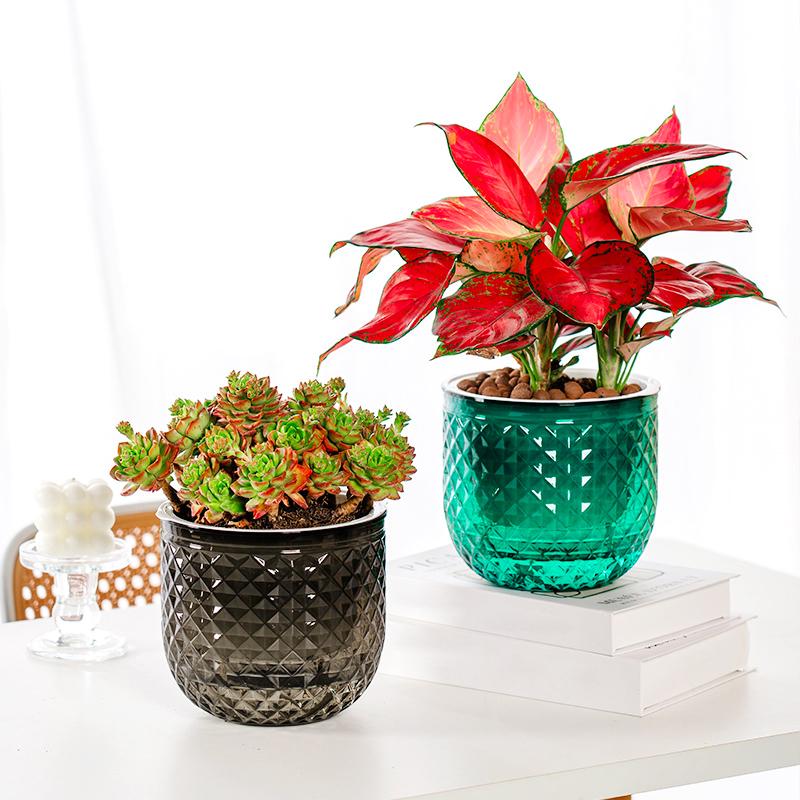 1 Stück Doppelschichtiger Kunststoff Mini Desktop Ornamente Topfpflanze Dekoratives Zubehör Blumenarrangement Einfarbig 3 Farben