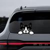 Peeking Cat Car Stickers Car Window Decals, Waterproof Removable Vinyl Black White Animal Decals for Cars Motorcycles Laptops, Funny Pet Design,