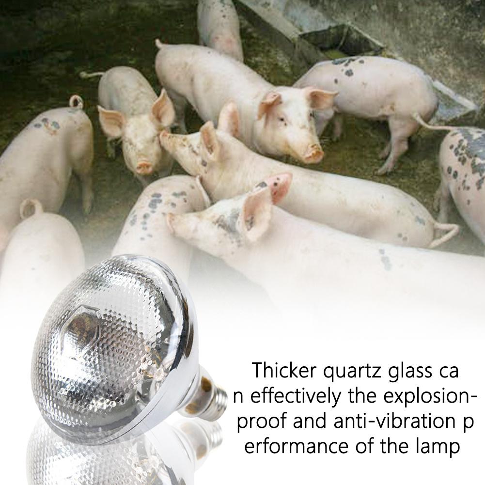 100W Reptile Heat Lamp Bulb - Red Heat Bulb for Chickens, Pets, and Outdoor Use - Full Spectrum Flood Light J2G4