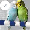 2pcs Textured Avian Claws Trimmers Stand Natural Ceramic Grooming Perches for Parrots Cockatiels