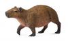 Collecta. Wasserschwein