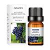 Lavender Water-Soluble Essential Oil, 10ml - Available in 29 Scents