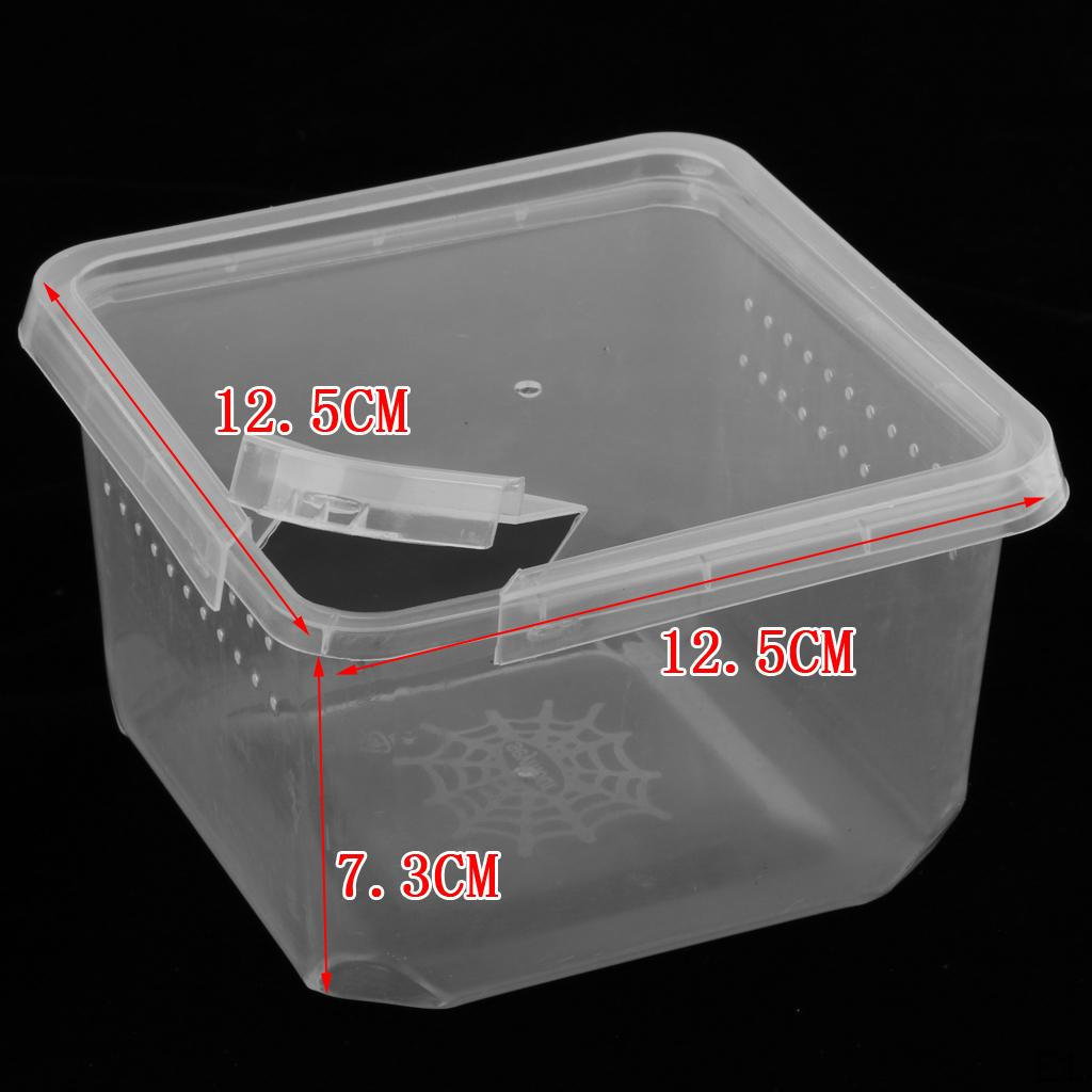 Plastic Spider Habitat Feeding Breeding Box Case Container 12x12x7cm