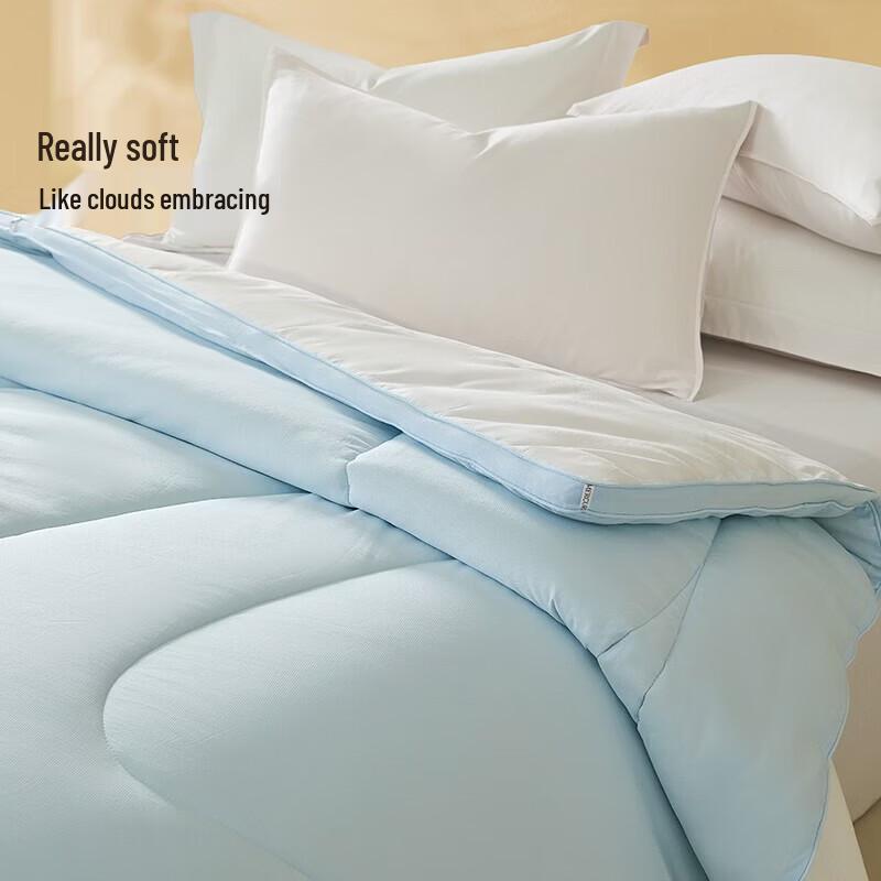 Mercury Home Textiles Cloud Soft PLUS Soybean Fiber Thickened Winter Quilt
