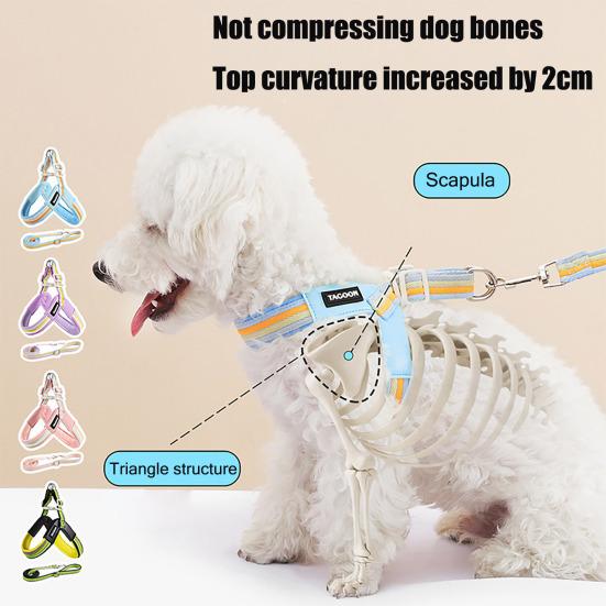 Colorful Dog Harness Padded Breathable Harness Adjustable Rainbow Mesh Pet Puppy Harness for Small Medium Dogs