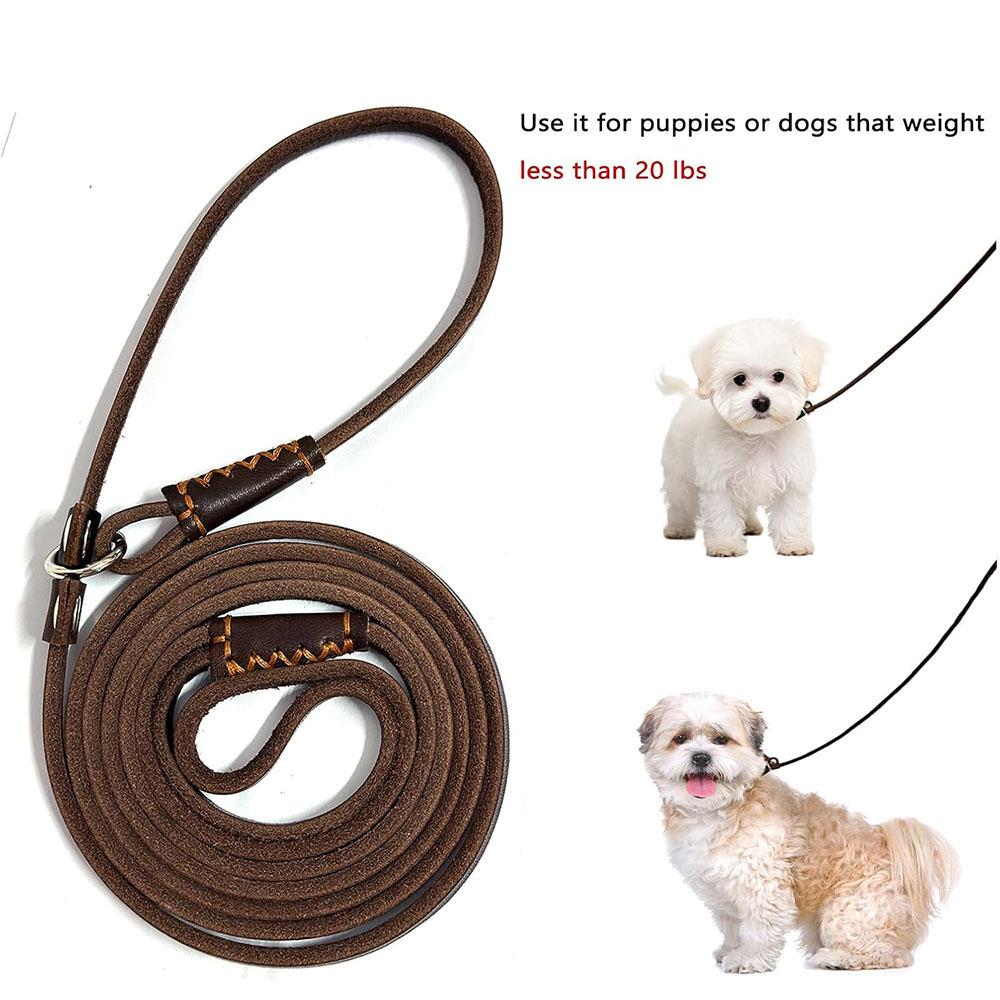 0.6*150cm Soft and Slim Thin Real Leather Slip Leads Dog Training Leashes for Small Medium Puppy Leather Slip Chain Collar Leash