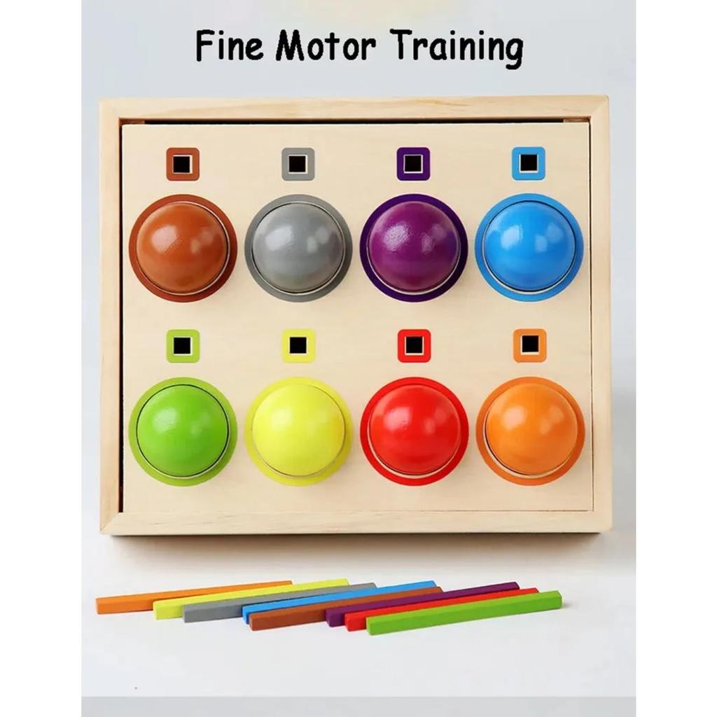 Baby Rainbow Ball Matching Montessori Wooden Toy Color Sorting Cognitive Sensory Game Fine Motor Training Early Educational Toys