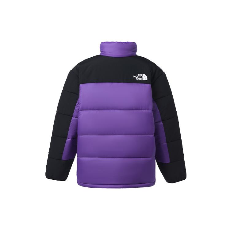 The North Face Puffer Jacket Men's Purple NF0A7RCX-NL4