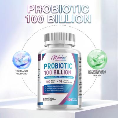 PROBIOTIC Capsules - 100 Billion CFUS - Contains Prebiotic Fiber & Digestive Enzymes - Boosts Immune Response & Nutrient Absorption