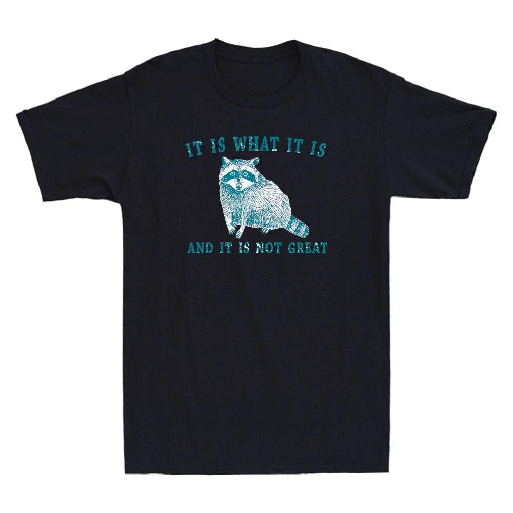 It Is What It Is And It Is Not Great Funny Raccoon Meme Sarcastic Unisex T-Shirt XL