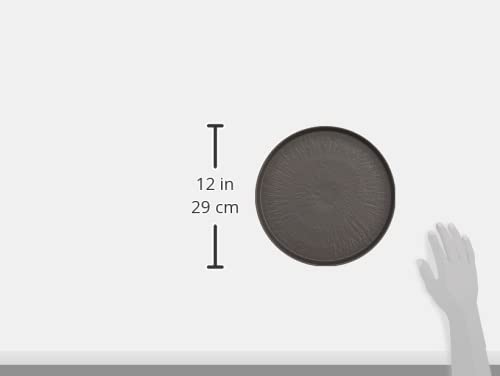 TOKI1919 Ash Cut-Edge Cafe Plate, Large Plate, One-Plate Dish, Approx. 27cm Diameter, French Style, Hotel Restaurant Specification, Ceramic, Plain, Fl