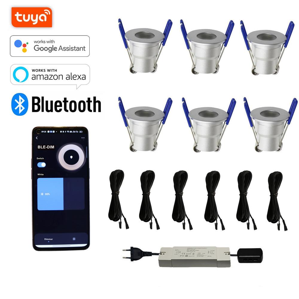 10x 3w Mini LED Downlight Complete Set TUYA APP Dimmable LED for Veranda or Terrace