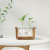 Hydroponic Glass Vase Propagation Vases Plant Vases with Wooden Stand Planter Flower Pots Terrarium Tabletop Home Decoration