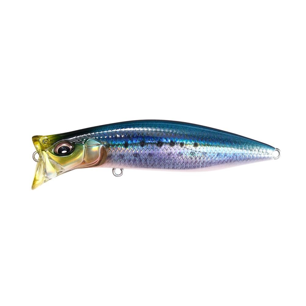 

KIRINJI 90 FA Sardines