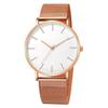 Geneva Ultra-Thin Men's Minimalist Mesh Band Watch