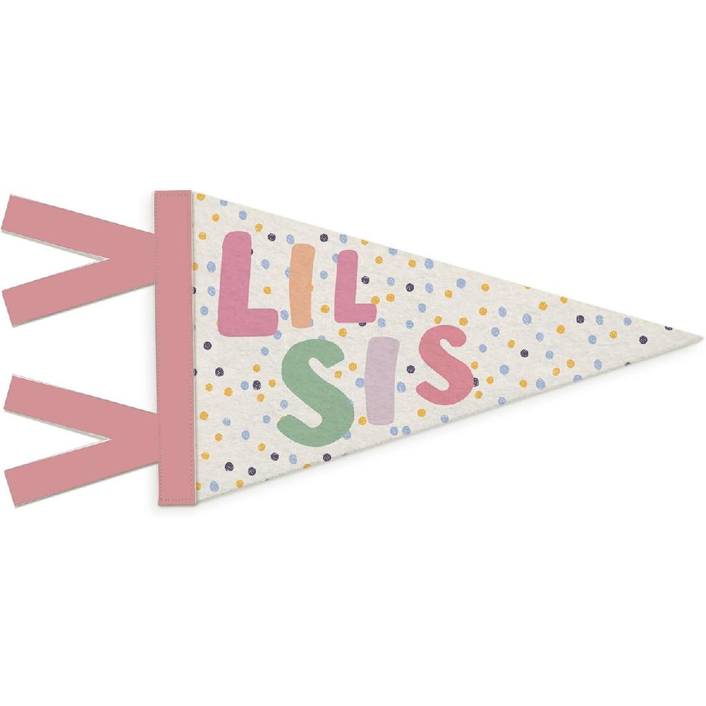 Boys Room Decor, Long Live Boyhood Wall Hanging Pennant Flag Banner, Preppy Neutral Checkerboard Wall Decorations for Nursery Toddler Boys Bedroom