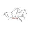 Horse Single Line Art Modern Minimalist Posters Prints Canvas Painting Animal Horse Wall Art Picture for Living Room Home Decor