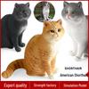 Thumbs Up Cat Figurine - Coffee Shop Ornament with Short-haired, Ragdoll, and Countryside Cat Designs