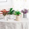 Self Watering Planter Plastic Plant Pot with Inner Pot Modern Decorative Flower Pot for All House Plants Flowers Herbs African Violets
