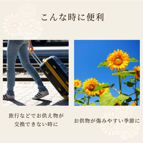 iMedia Buddhist Altar Fruit and Offering Stand Set, Food Sample Fruit Offerings for Graves, Obon, Higan, and Celebrations (Approx. 18.5 X 20 X 12 Cm)