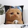 Pillow Cover Sad Crying Aliens Cat Cute Funny Pillow Case For Sofa Couch Bed Living Room Pillowcases