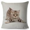 Cute Cat Pillowcase Decor Lovely Pet Animal Print Cojines Cushion Cover Polyester Pillow Case for Home Sofa Children Room 45x45