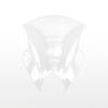 Windscreen Motorcycle Accessories For Kawasaki Ninja 500 SE 2024 2025 NINJA500 Wind Deflectors Double Bubble Windshield Screen