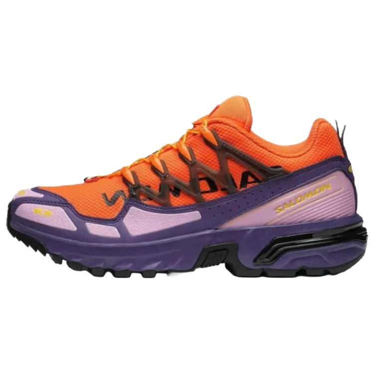Кроссовки ACS+ Og Salomon  Heritage Pack - Purple Reign  L47436300 44⅔