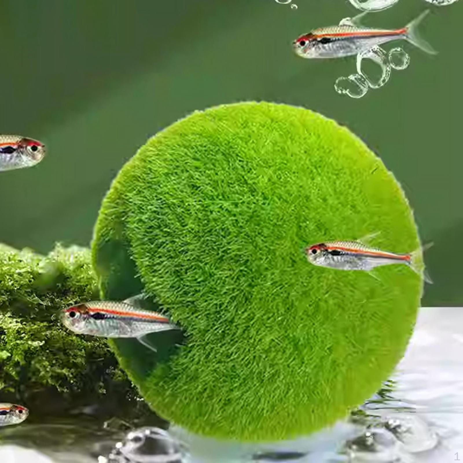 

Fish Tank Hideaway Ornament Green Professional Versatile Gifts with Suction Cup Aquarium Decoration