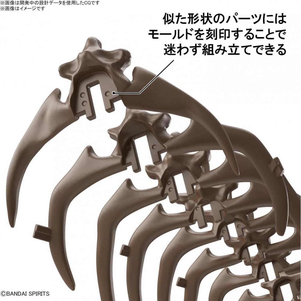 Bandai Spirits  Bandai Spirits  Imaginary Skeleton  Imaginary Skeleton  Triceratops 1 32 Scale Plastic Model