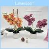 Phalaenopsis Artificial Flower Plant Pot For Wedding Decor And Photography Indoor Outdoor Display