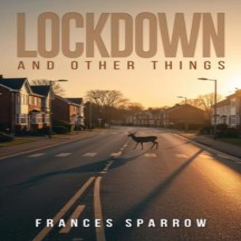 Lockdown and Other Things by Frances Sparrow Paperback Book 9781037101953