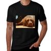 Chocolate Lab Tshirt Running Gym Short Sleeve Sports Tee