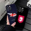 Georgia Passflagge Weiche Handyhülle für iPhone 16 16E 17 Air 15 Pro Max 14 Plus 13 Mini 11 12 7 Schwarze Hülle Rückschale