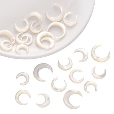 Ciondoli di Conchiglie Bianche Naturali Per Collane Bracciali Orecchini Fai da Te Creazione Gioielli
