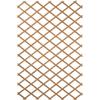 Traliccio da giardino 100 x 300 cm Legno Marrone 419779