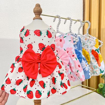 Spring/Summer Dog Skirt Cat Pet Clothing Teddy Dou Bi Bear Cat Supplies Dog Clothing Clothing